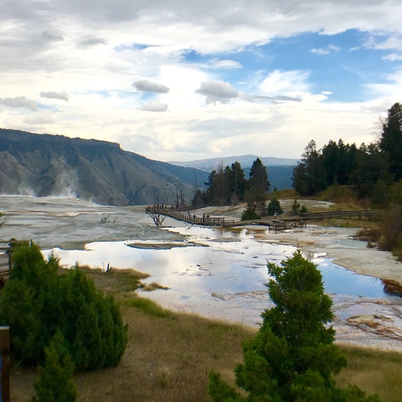 Meet your Posher, Sarah - Picture 3 of 3